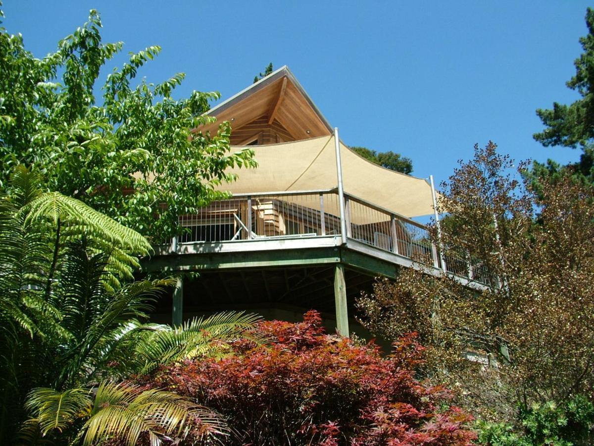 תמז Waiotahi Valley Lodge מראה חיצוני תמונה